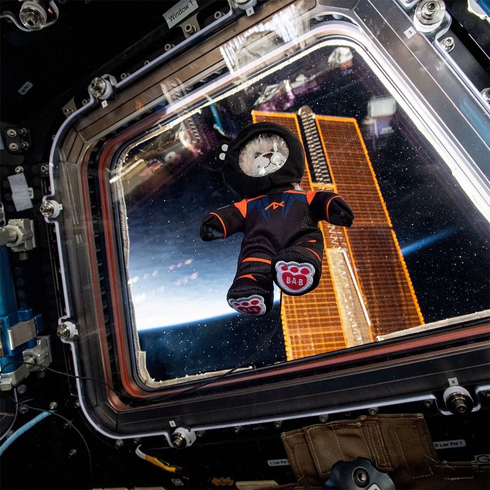 Axiom Space e GiGi do Build-A-Bear vistos flutuando na cúpula a bordo da Estação Espacial Internacional em maio de 2023.