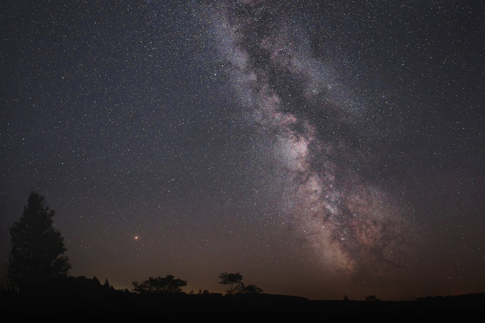 composição do céu estrelado com a sombra das árvores a partir de uma técnica de astrofotografia 
