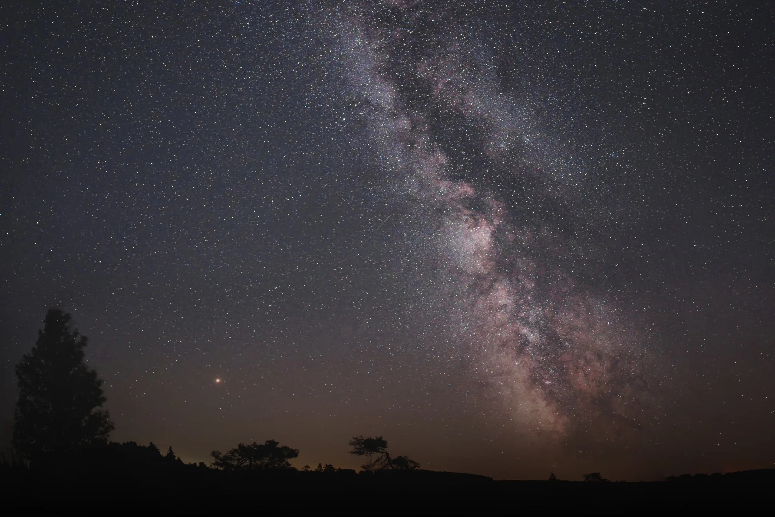 composição do céu estrelado com a sombra das árvores a partir de uma técnica de astrofotografia