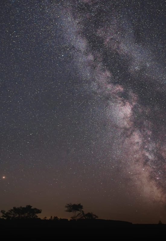 composição do céu estrelado com a sombra das árvores a partir de uma técnica de astrofotografia